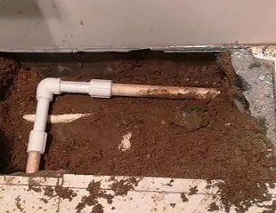 金门测漏水哪家好