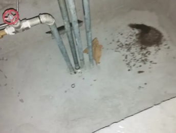 金门卫生间测漏水价格明细